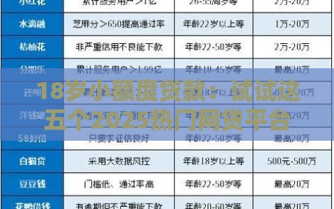 18岁小额度贷款：试试这五个2025热门网贷平台哪些好下款