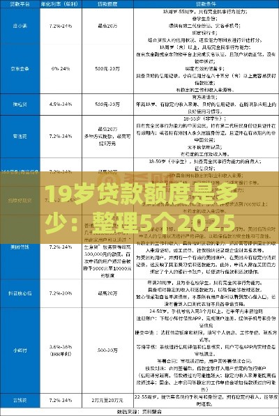 19岁贷款额度是多少：整理5个2025热门天际钱袋口子入口