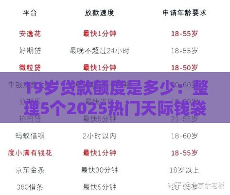 19岁贷款额度是多少：整理5个2025热门天际钱袋口子入口
