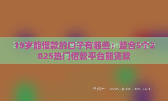 19岁能借款的口子有哪些：整合5个2025热门借款平台能贷款