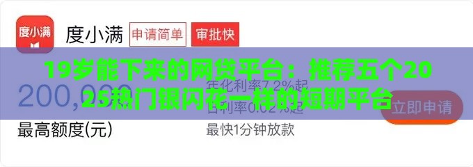 19岁能下来的网贷平台：推荐五个2025热门银闪花一样的短期平台