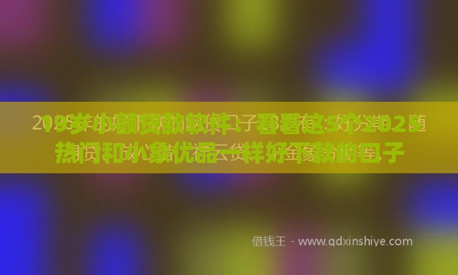 19岁小额贷款软件：看看这5个2025热门和小象优品一样好下款的口子