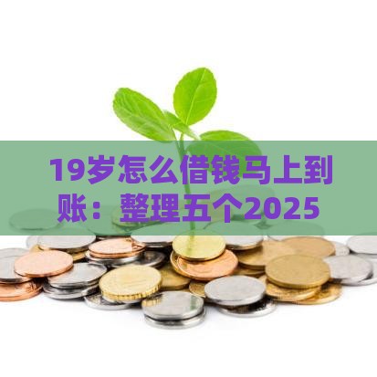 19岁怎么借钱马上到账：整理五个2025热门小额短期用钱平台好