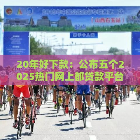 20年好下款：公布五个2025热门网上都贷款平台