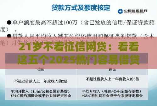 21岁不看征信网贷：看看这五个2025热门容易借贷的网贷平台