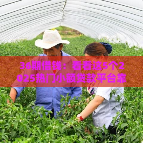 36期借钱：看看这5个2025热门小额贷款平台靠谱