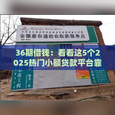 36期借钱：看看这5个2025热门小额贷款平台靠谱