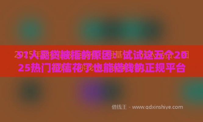 51人品贷被拒的原因：试试这五个2025热门征信花了也能借钱的正规平台