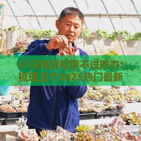 51闪电贷初审不过咋办：梳理五个2025热门最新口子