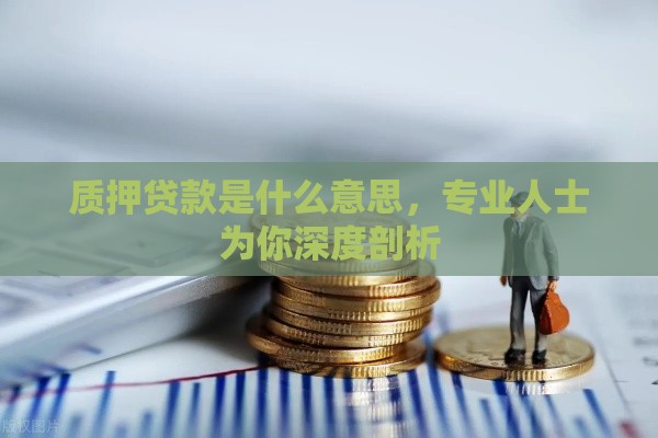 质押贷款是什么意思，专业人士为你深度剖析