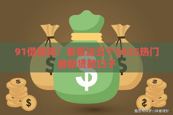 91借钱花：看看这五个2025热门最新贷款口子