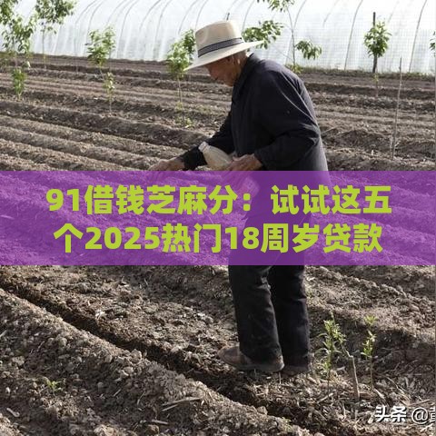 91借钱芝麻分：试试这五个2025热门18周岁贷款平台