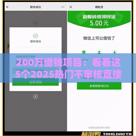 200万借钱项目：看看这5个2025热门不审核直接放款的平台