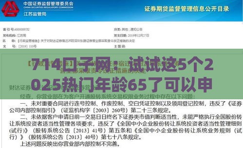 714口子网：试试这5个2025热门年龄65了可以申请的网贷平台