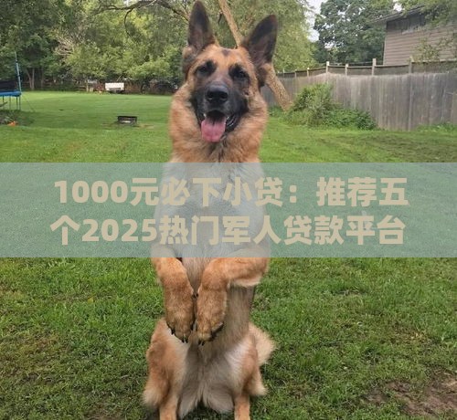 1000元必下小贷：推荐五个2025热门军人贷款平台