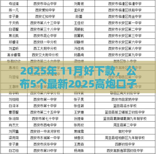 2025年 11月好下款，公布5个最新2025高炮口子秒下款免审核
