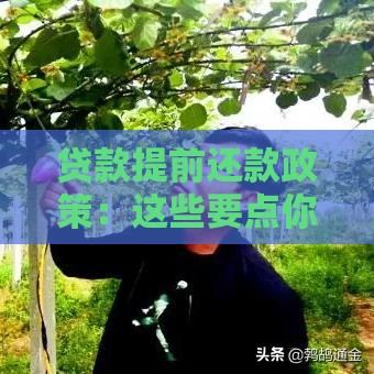 贷款提前还款政策：这些要点你不可不知！