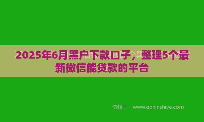 2025年6月黑户下款口子,整理5个最新微信能贷款的平台 2025年6月黑户下款口子,整理5个最新微信能贷款的平台