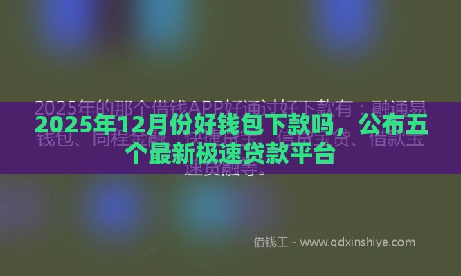 2025年12月份好钱包下款吗，公布五个最新极速贷款平台