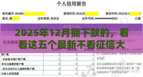 2025年12月能下款的，看看这五个最新不看征信大数据的贷款平台
