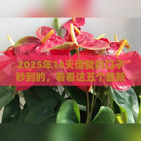 2025年14天借款的口子秒到的，看看这五个最新马上花是借款平台贷款