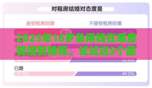 2025年16岁急用钱在哪里能借到钱呢，试试这5个最新加盟贷款平台做代理