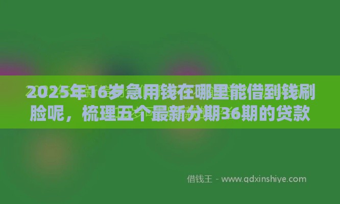 2025年16岁急用钱在哪里能借到钱刷脸呢，梳理五个最新分期36期的贷款平台