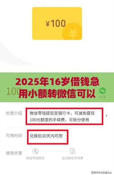 2025年16岁借钱急用小额转微信可以吗，梳理5个最新2025买会员有额度的口子