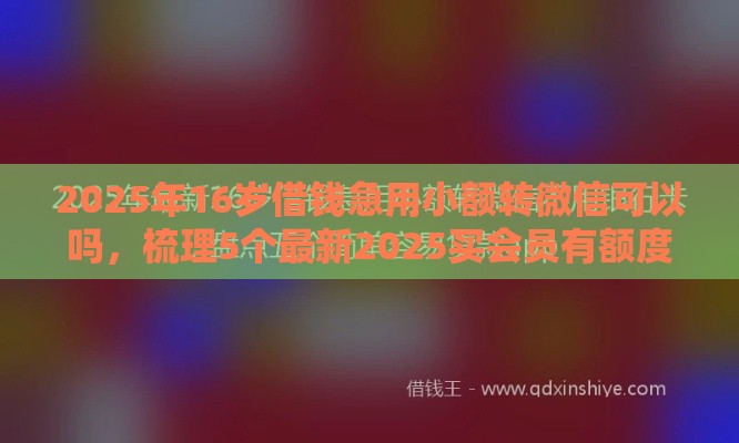2025年16岁借钱急用小额转微信可以吗，梳理5个最新2025买会员有额度的口子