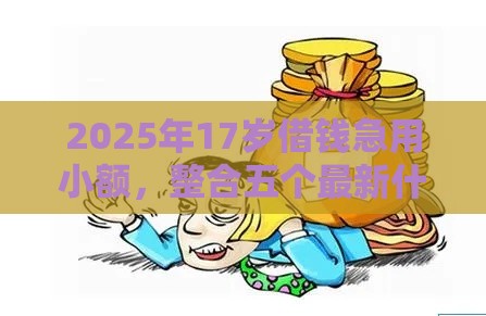 2025年17岁借钱急用小额，整合五个最新什么贷款平台靠谱