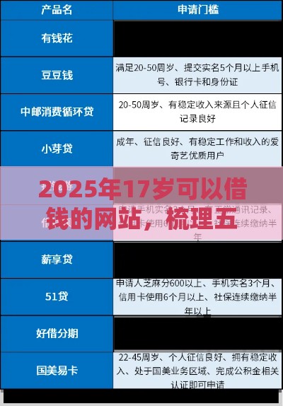 2025年17岁可以借钱的网站，梳理五个最新分期贷款平台