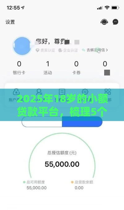 2025年18岁的小额贷款平台，梳理5个最新黑户秒下款的高炮口子