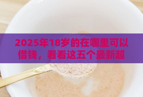 2025年18岁的在哪里可以借钱，看看这五个最新超级黑户可以下款的口子