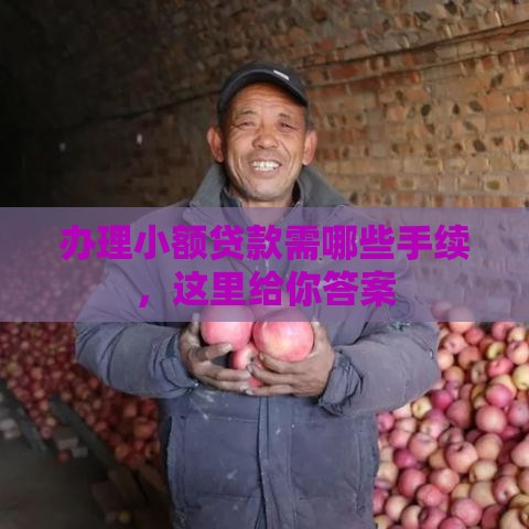 办理小额贷款需哪些手续，这里给你答案