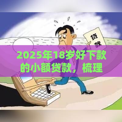 2025年18岁好下款的小额贷款，梳理5个最新快速网贷平台