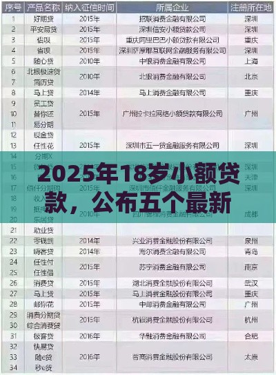 2025年18岁小额贷款，公布五个最新714网贷平台大全