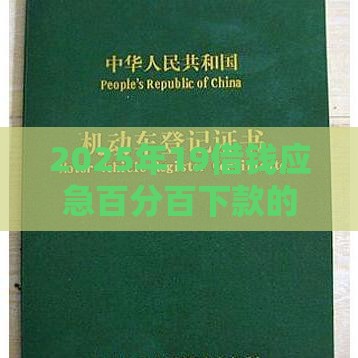 2025年19借钱应急百分百下款的，推荐5个最新车辆抵押贷款平台