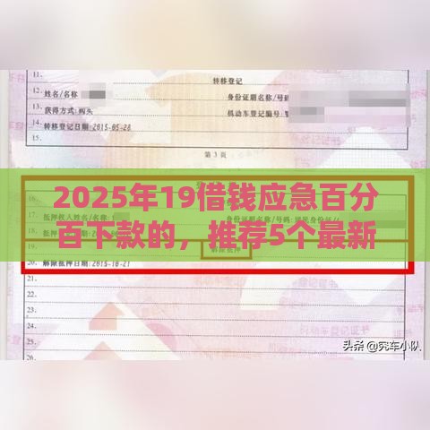 2025年19借钱应急百分百下款的，推荐5个最新车辆抵押贷款平台