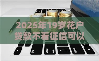 2025年19岁花户贷款不看征信可以吗，看看这5个最新利息低的网贷平台