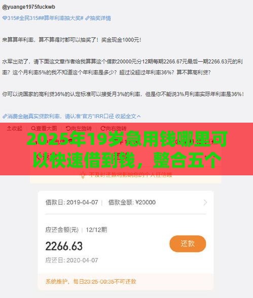 2025年19岁急用钱哪里可以快速借到钱，整合五个最新哪些借钱平台靠谱