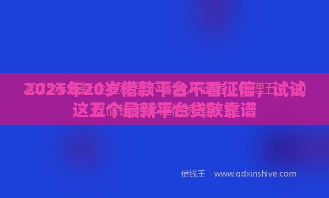 2025年20岁借款平台不看征信，试试这五个最新平台贷款靠谱