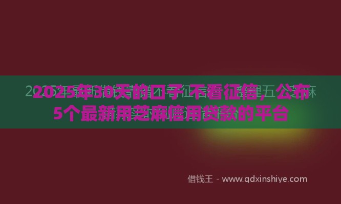 2025年30天的口子 不看征信，公布5个最新用芝麻信用贷款的平台