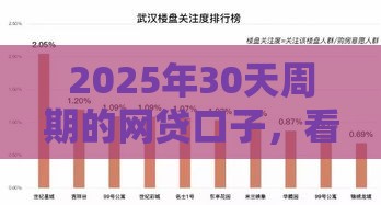 2025年30天周期的网贷口子，看看这五个最新网贷最好的平台