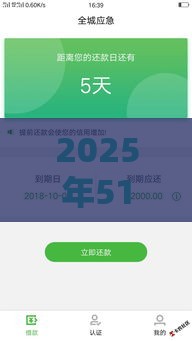 2025年51卡宝好下款吗，试试这五个最新平台好下款