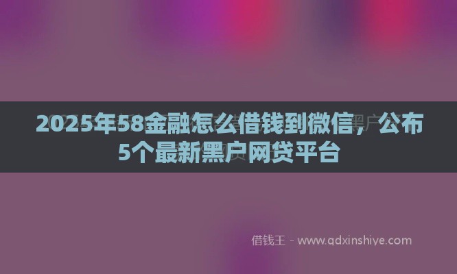 2025年58金融怎么借钱到微信，公布5个最新黑户网贷平台