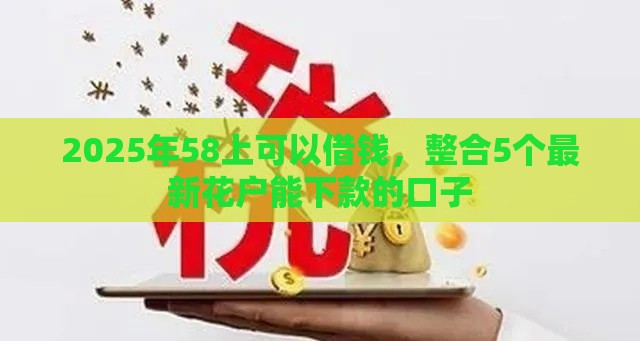 2025年58上可以借钱，整合5个最新花户能下款的口子