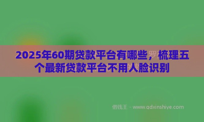 2025年60期贷款平台有哪些，梳理五个最新贷款平台不用人脸识别