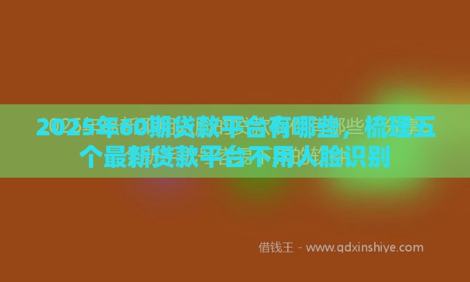 2025年60期贷款平台有哪些，梳理五个最新贷款平台不用人脸识别