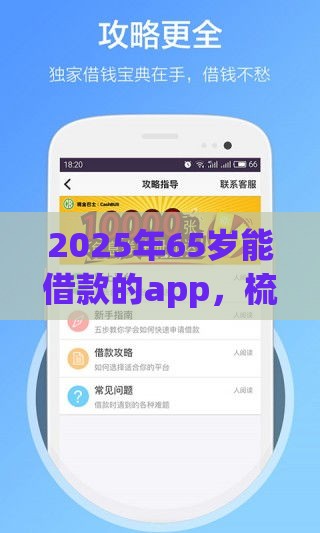 2025年65岁能借款的app，梳理五个最新半夜秒下款的高炮口子