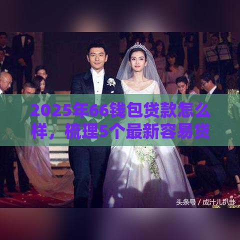 2025年66钱包贷款怎么样，梳理5个最新容易贷款平台